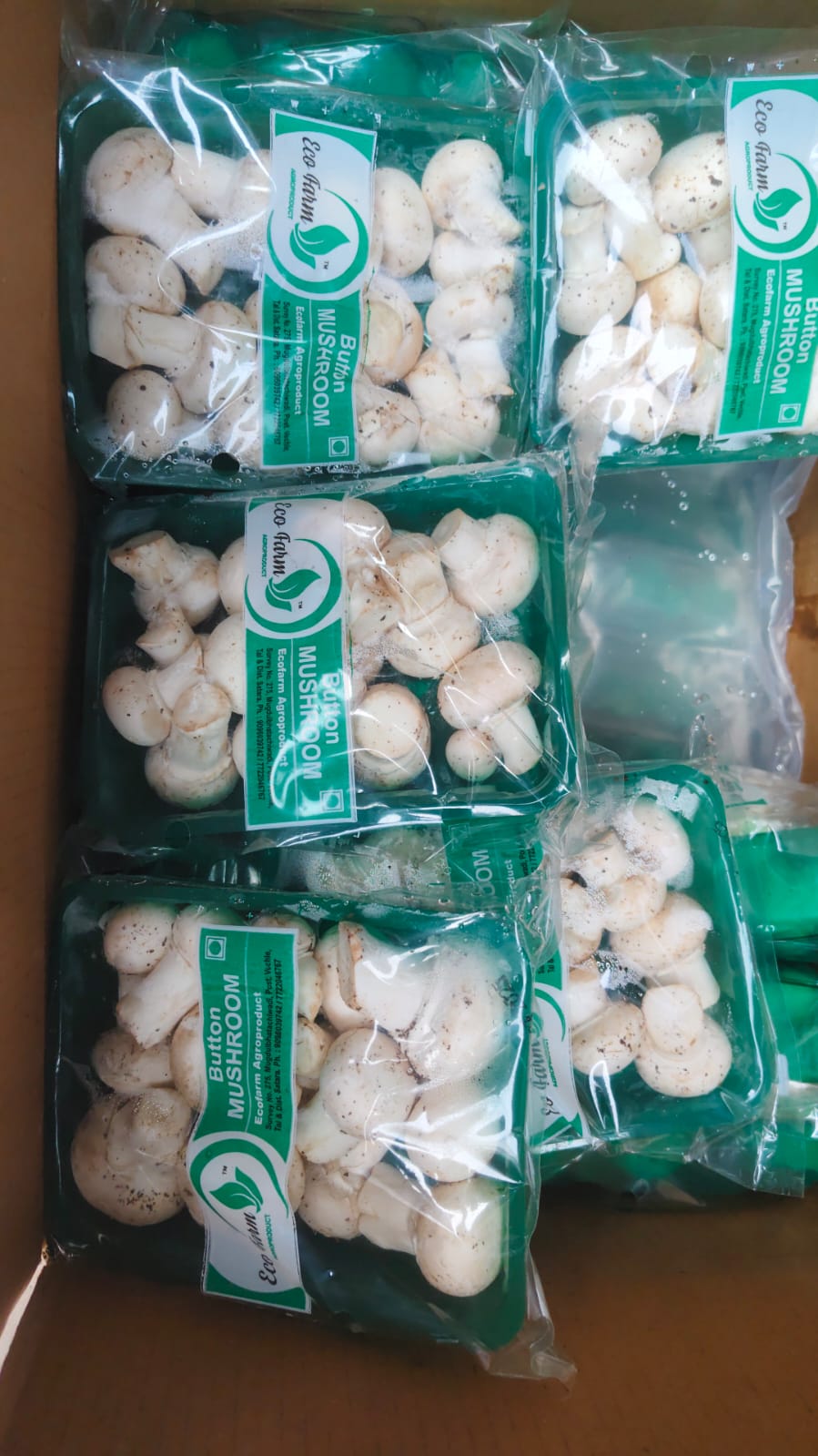 WhatsApp Image 2025-12-17 at 11.29.38_39f6d771