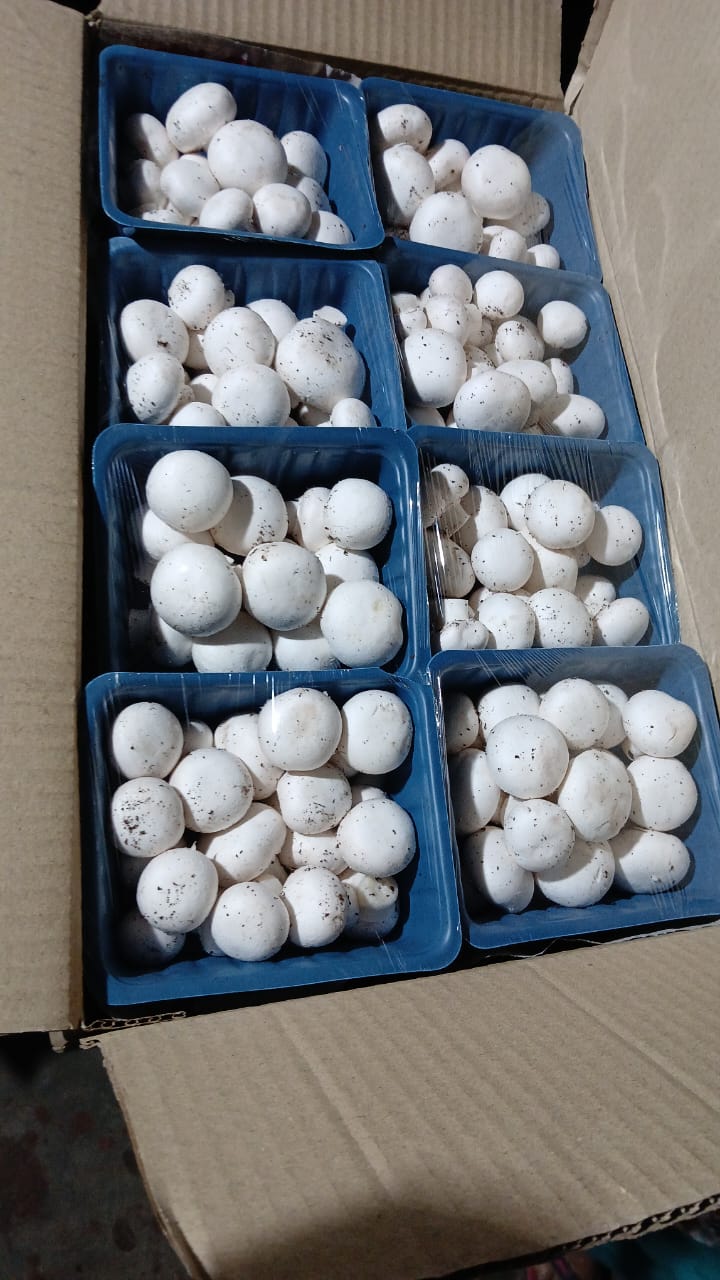 WhatsApp Image 2025-12-17 at 11.29.39_cd26d89f